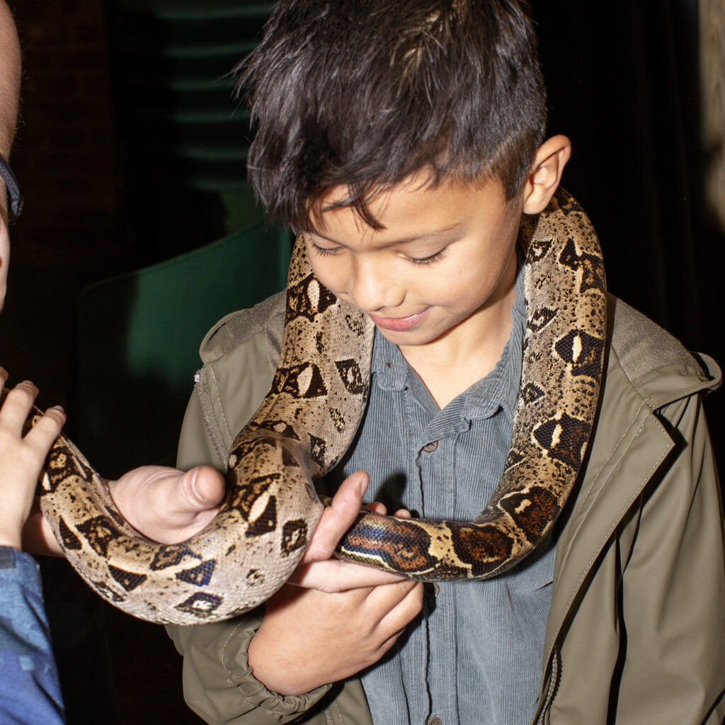 Zaterdag 3 oktober. Ontbijten met de Geiten!
Dierendag, een feest voor iedereen!
Het is een traditie geworden; kinderdierendag op kinderboerderij de Oude Hofstede. 